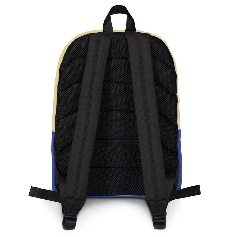 2 Tone Backpack
