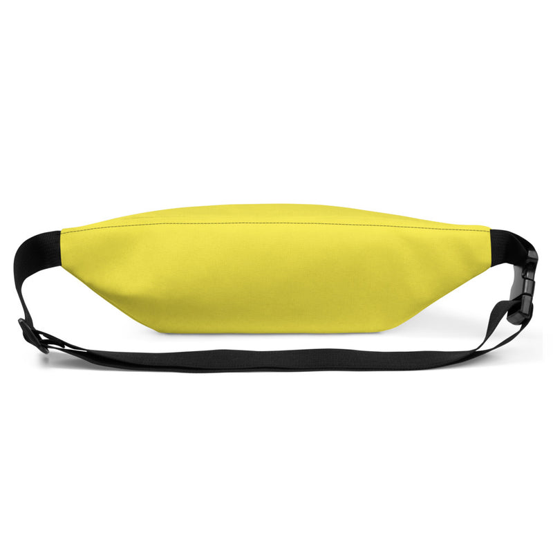 2 Tone Fanny Pack