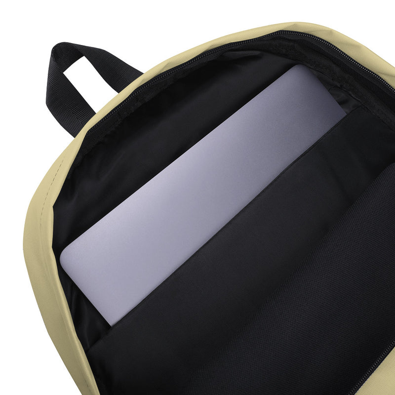 2 Tone Backpack